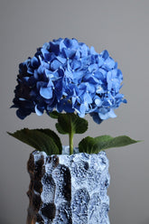 Oxymoron Light Blue Vase |