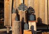 Bosco | Larix Decidua |