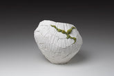 Zefiro Moss Vase |