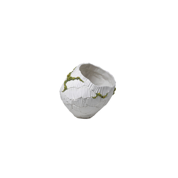 Zefiro Moss Vase