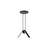 Arrangements Recessed Rose - Flos | 