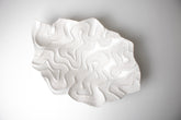 Opensea White Centerpiece | 